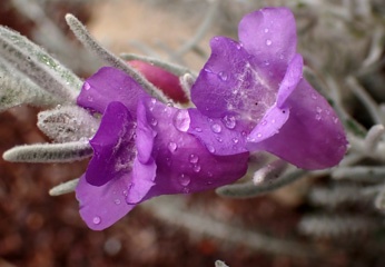 PB040802a.jpg